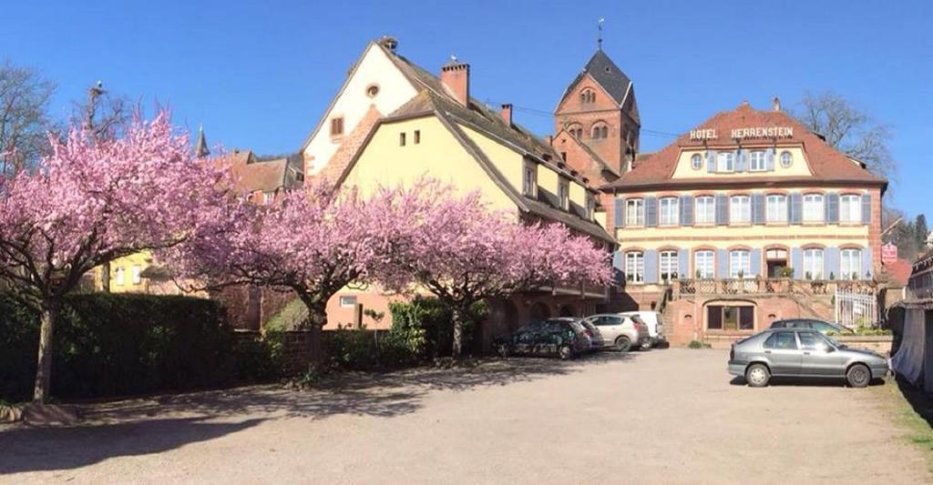 Hotel Du Herrenstein Neuwiller-lès-Saverne Kültér fotó