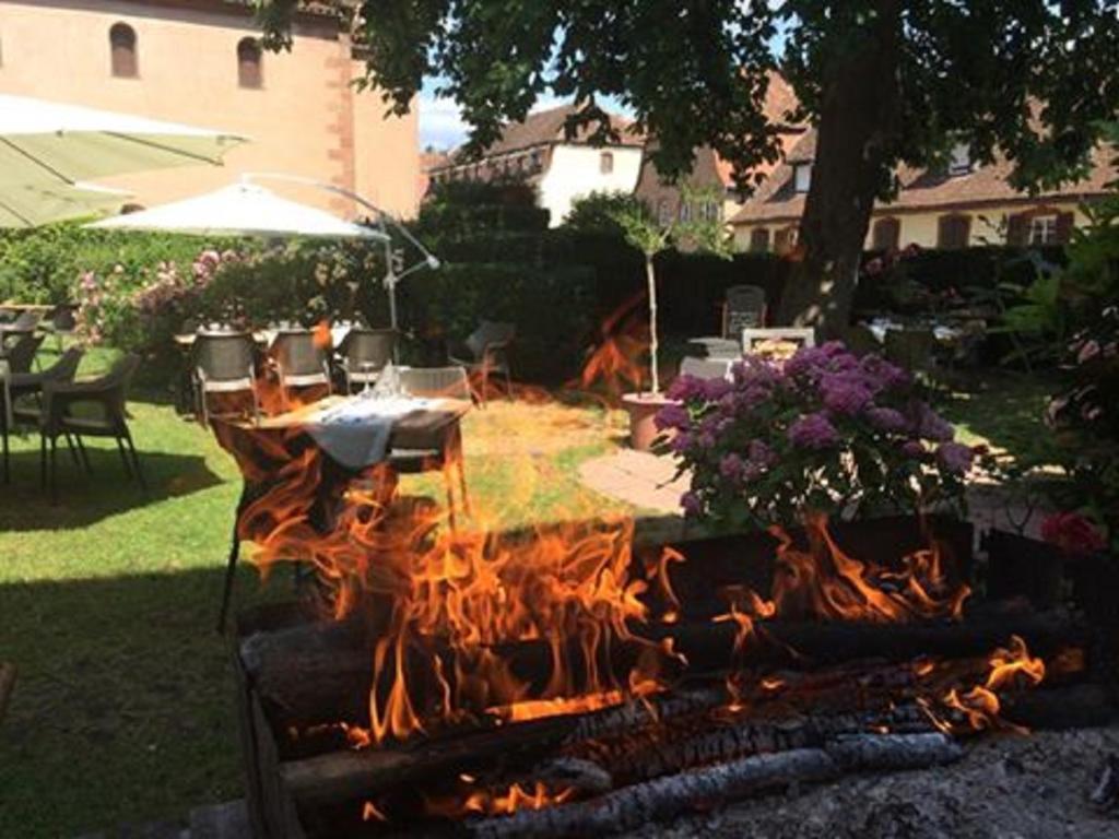 Hotel Du Herrenstein Neuwiller-lès-Saverne Kültér fotó