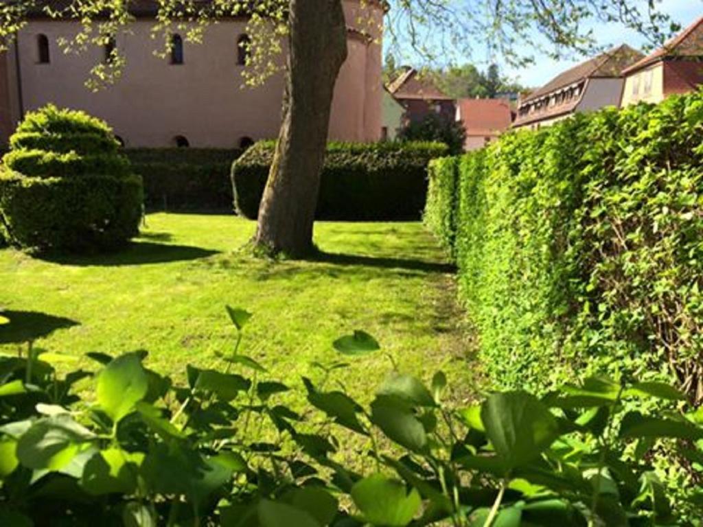 Hotel Du Herrenstein Neuwiller-lès-Saverne Kültér fotó